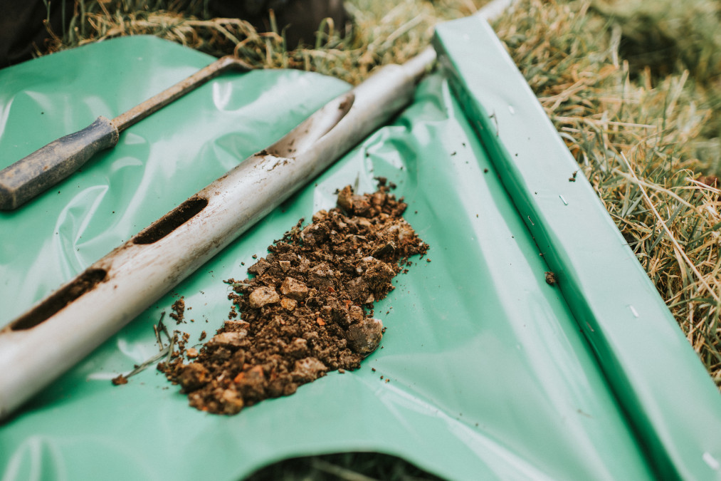 What have we discovered?