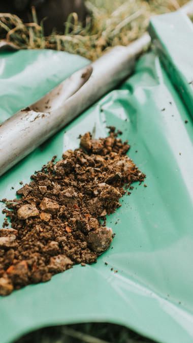 What have we discovered?