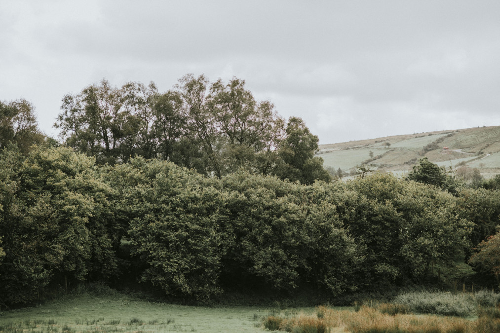 Northern Ireland's planning system