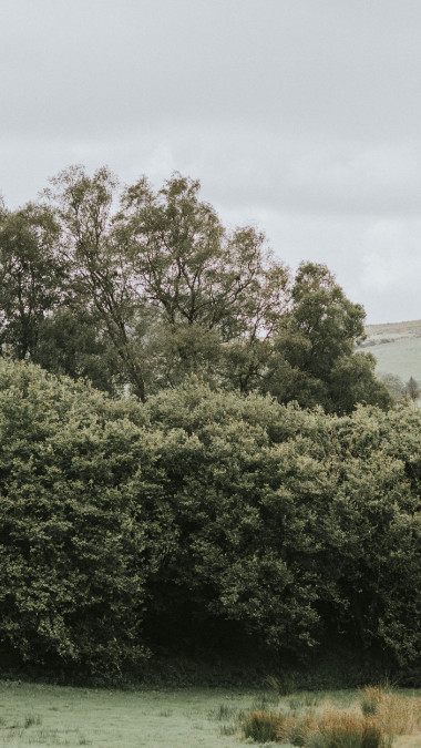 Northern Ireland's planning system