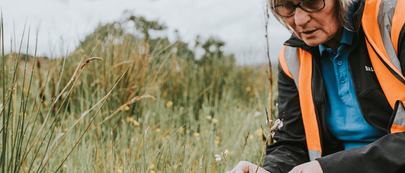 Planning for Sustainability